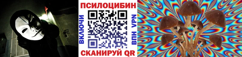 наркотики  Родники  Галлюциногенные грибы Magic Shrooms 